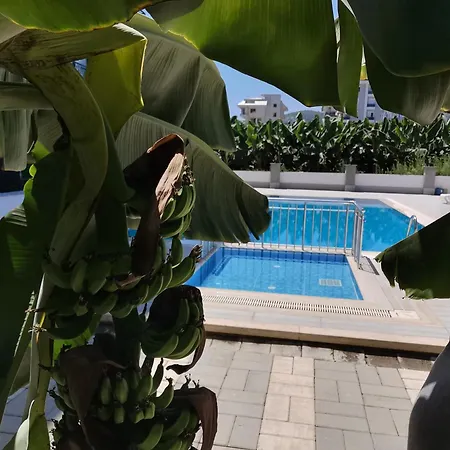 Denize Yakin Lueks Alanya